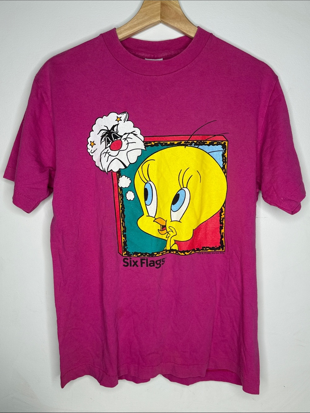 Vintage 1995 Six Flags Tweety Bird Sylvester Tshirt